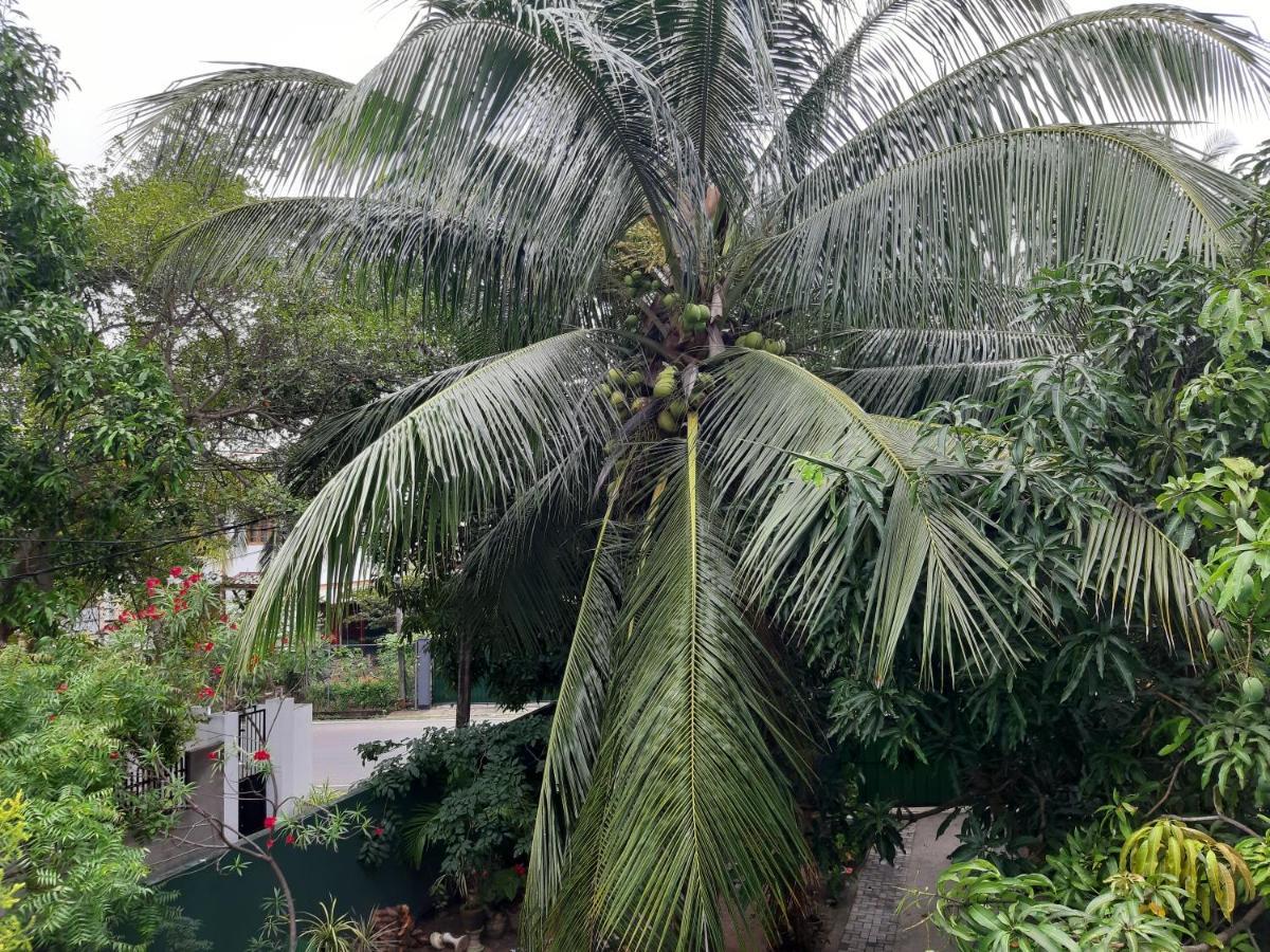 Hellen Homestay Negombo Exterior photo